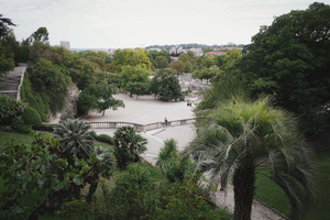 Chauffeur privé Nîmes